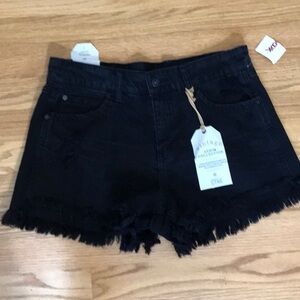 Vanilla Star Festival Shorts